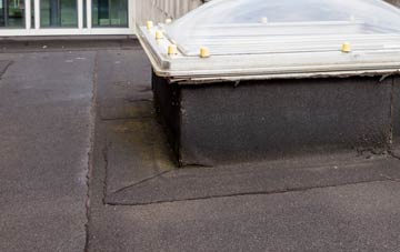 disadvantages of Hutton Gate flat roofs