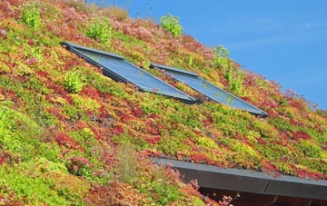 Hutton Gate living roof systems