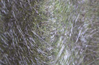 Hutton Gate fibreglass roof work